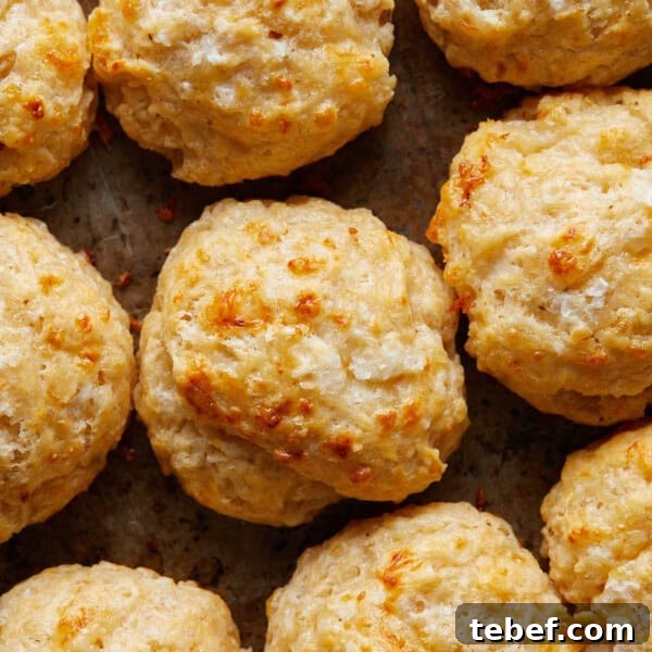 Savory Bacon and Cheddar Muffins for Breakfast or Brunch 8 img 21864 7