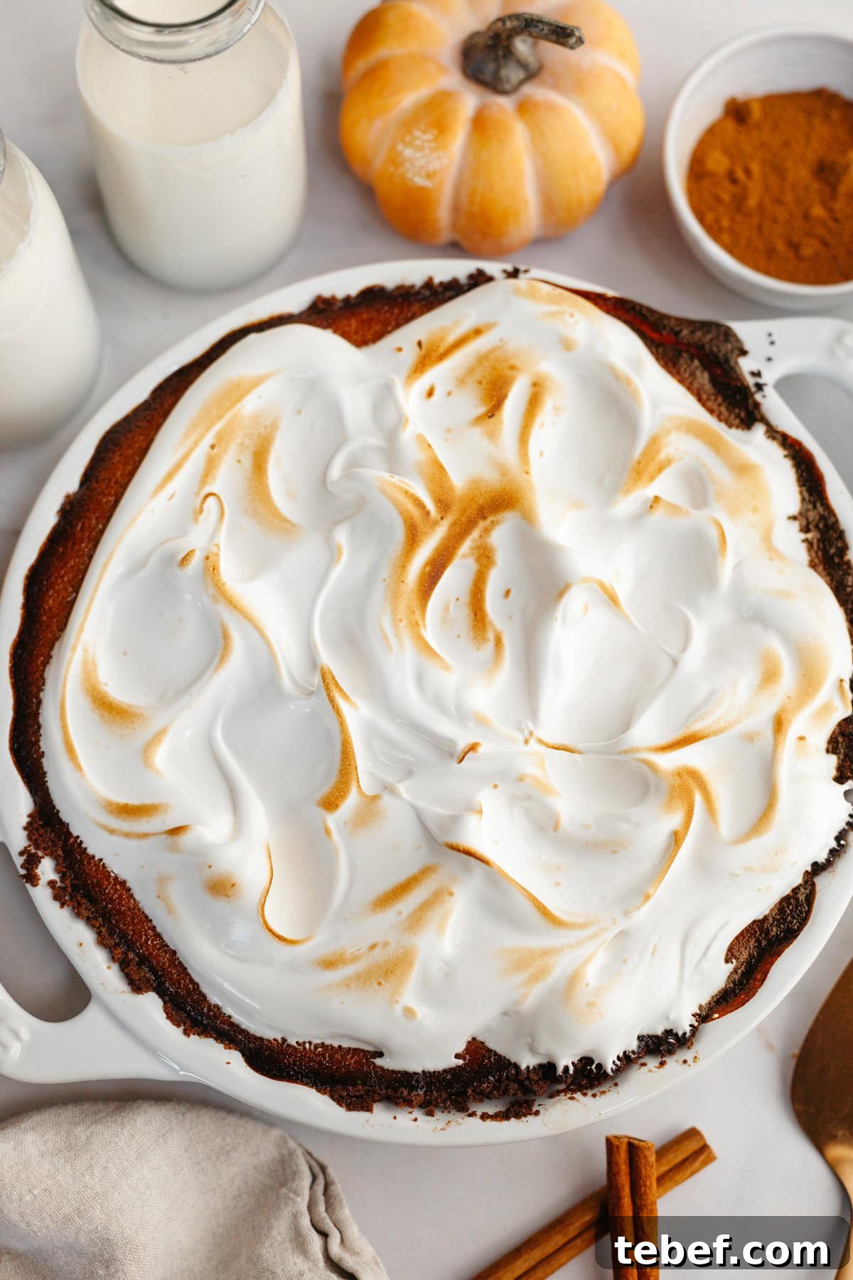 An overhead shot of a pumpkin pie covered in toasted marshmallow meringue.