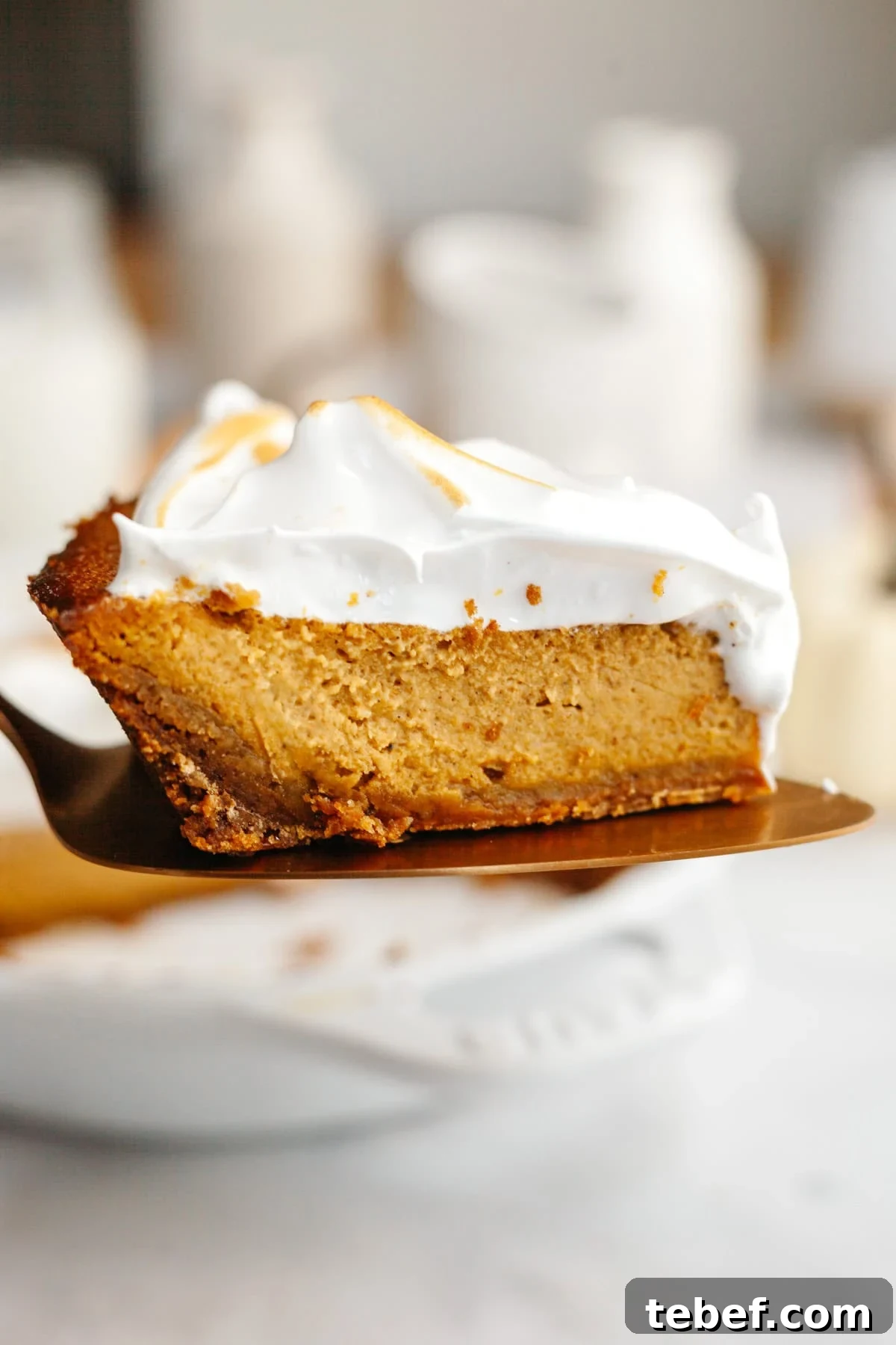 A slice of pumpkin pie with marshmallow topping on a cake server.