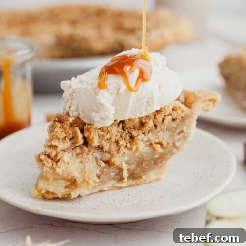 A slice of apple pie with a big scoop of vanilla ice cream on top.