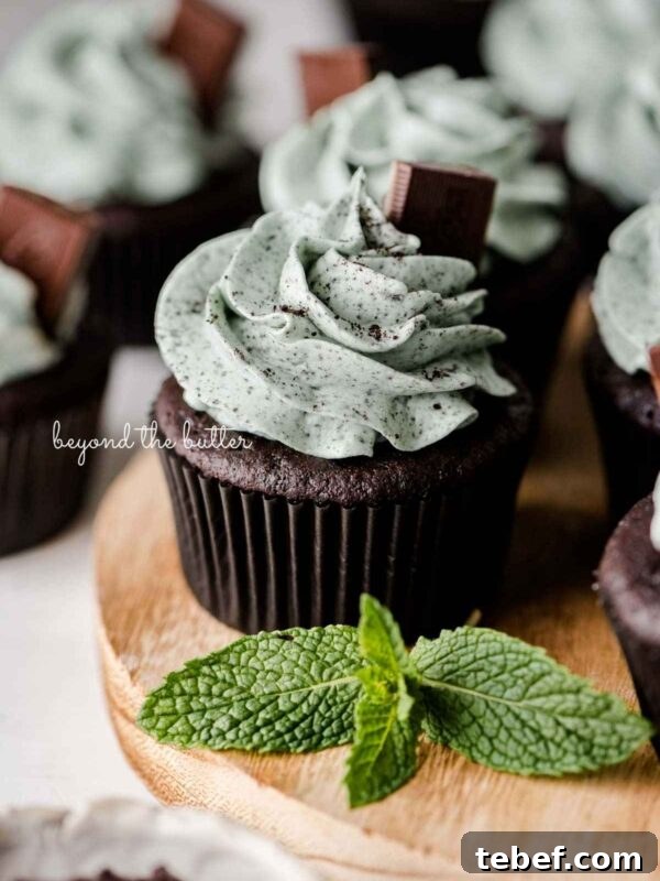 Homemade Baked Chocolate Donuts Recipe for Moist, Rich Donuts 11 Mint chocolate cupcakes topped with mint chocolate chip frosting and an Andes mint on a wood circular tray with mint leaves as decoration.