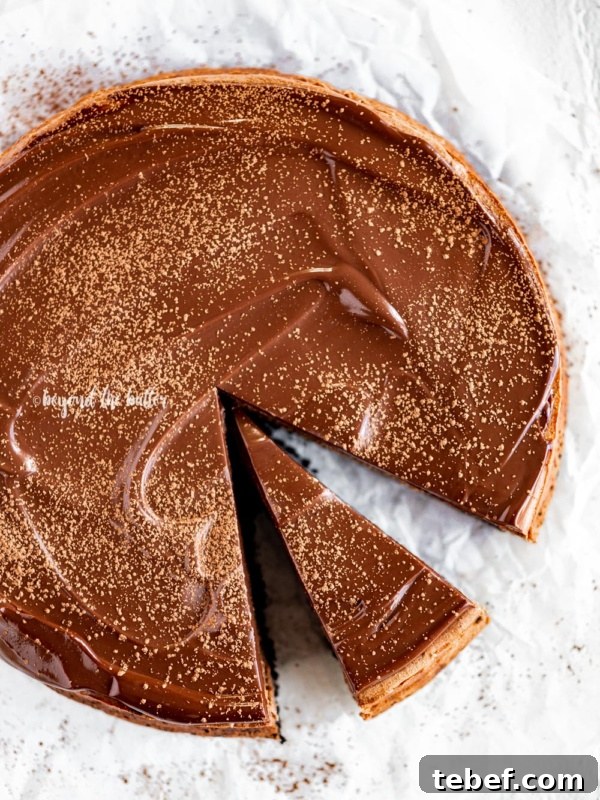 Homemade Baked Chocolate Donuts Recipe for Moist, Rich Donuts 12 Overhead angled image of Triple Chocolate Mocha Cheesecake dusted with cocoa and a slice removed.
