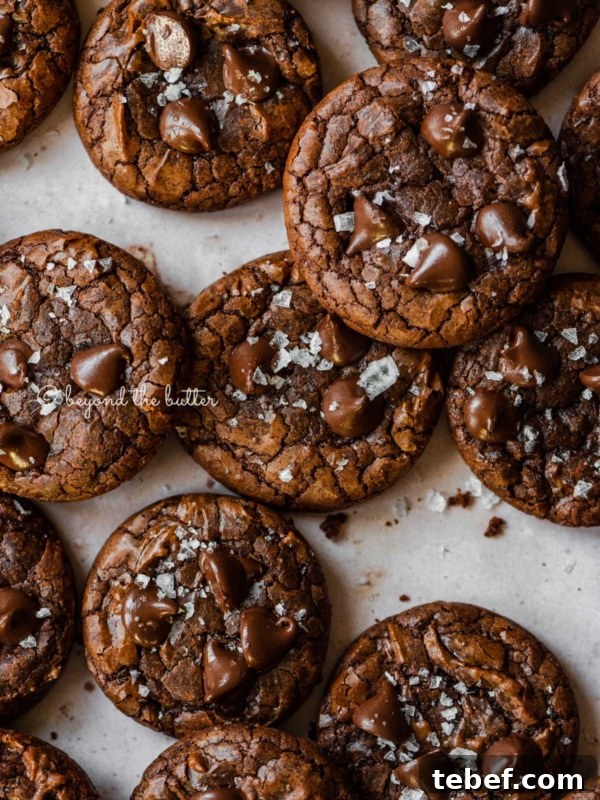 Homemade Baked Chocolate Donuts Recipe for Moist, Rich Donuts 9 Salted brownie cookies on abstract light brown background.
