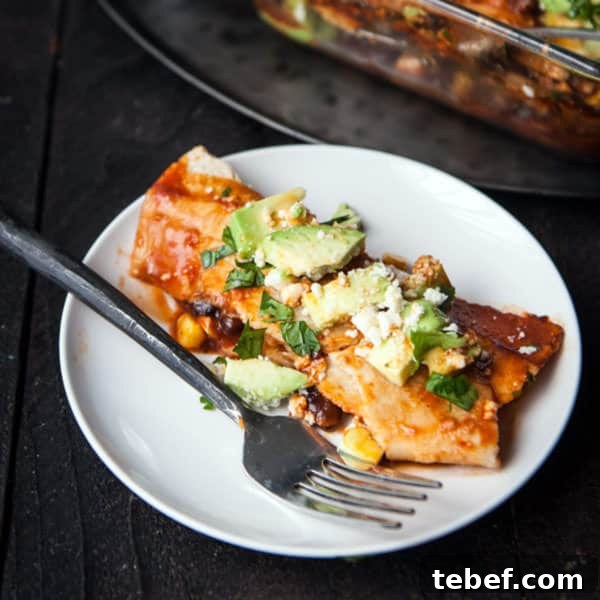 Homemade Vegan Enchiladas (with no-can sauce!)