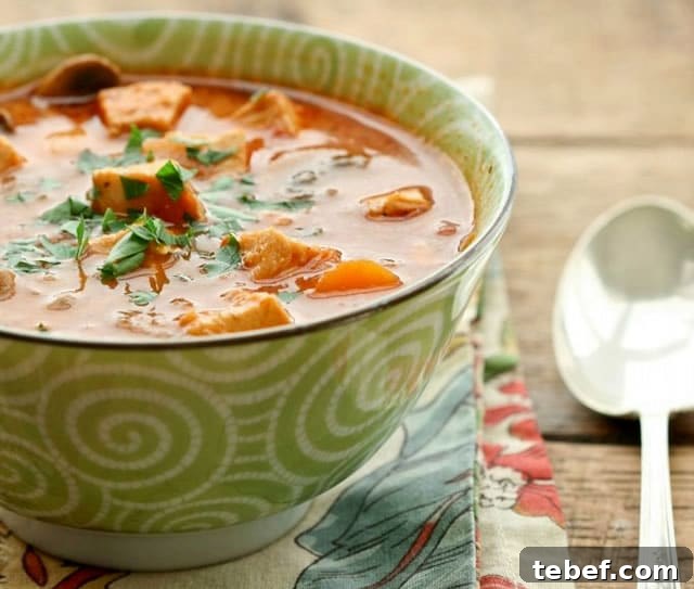 Creamy Chicken, Tomato, and Vegetable Soup