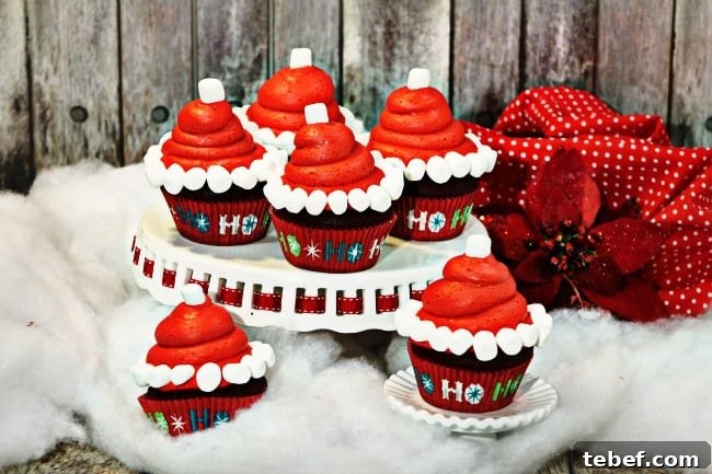 Santa Hat2