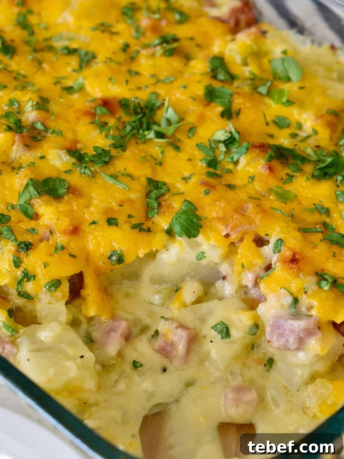 Cheesy Ham and Potato Casserole Recipe for Leftover Ham 2 Cheesy Ham and Potato Casserole using leftover ham.