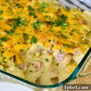 Cheesy Ham and Potato Casserole Recipe for Leftover Ham 14 Cheesy Ham and Potato Casserole Recipe.