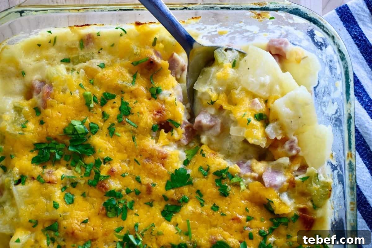 Cheesy Ham and Potato Casserole Recipe for Leftover Ham 3 Cheesy ham and potato Casserole recipe with leftover ham and a spoon.