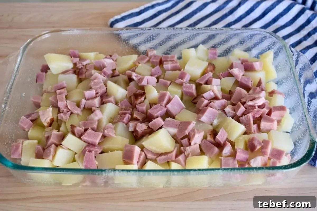 Cheesy Ham and Potato Casserole Recipe for Leftover Ham 6 Cubed ham and potatoes in a glass baking dish.