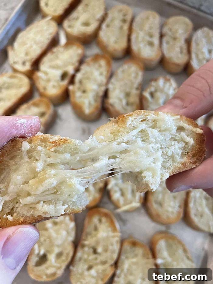 A slice of toasted parmesan baguette being torn apart held above a sheet pan full of toasted parmesan baguette slices.