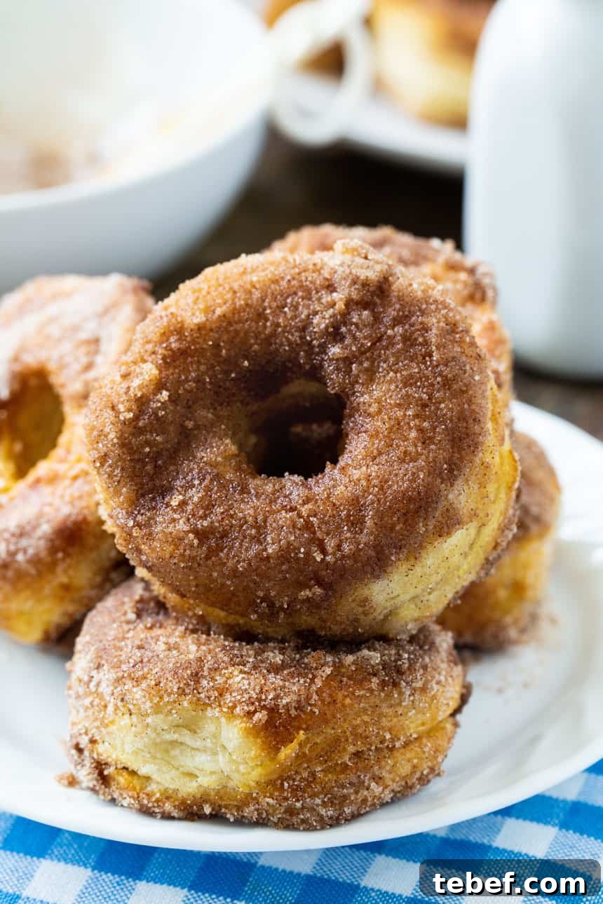 Close-up of Air Fryer Biscuit Donuts