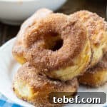 Doughnuts covered in cinnamon-sugar on a plate.