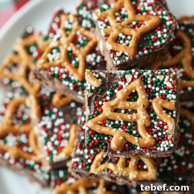 Chocolate Peanut Butter Pretzel Bars
