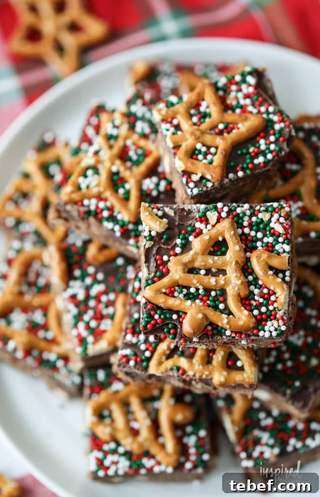 Chocolate Peanut Butter Pretzel Bars Recipe — Crunchy No-Bake Treat 3 Chocolate Peanut Butter Pretzel Bars close-up