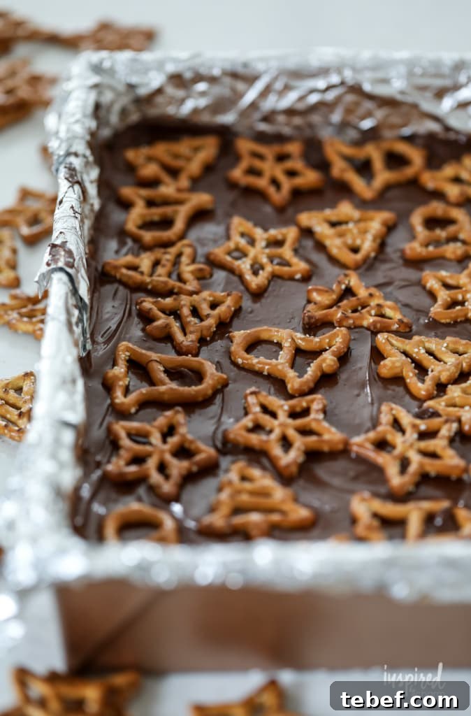 Chocolate Peanut Butter Pretzel Bars Recipe — Crunchy No-Bake Treat 6 Chocolate Peanut Butter and Pretzel Bars