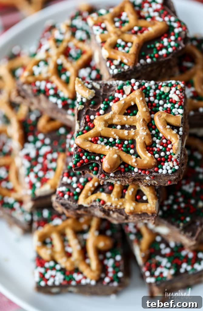 Chocolate Peanut Butter Pretzel Bars Recipe — Crunchy No-Bake Treat 10 Chocolate Pretzel Bars finished