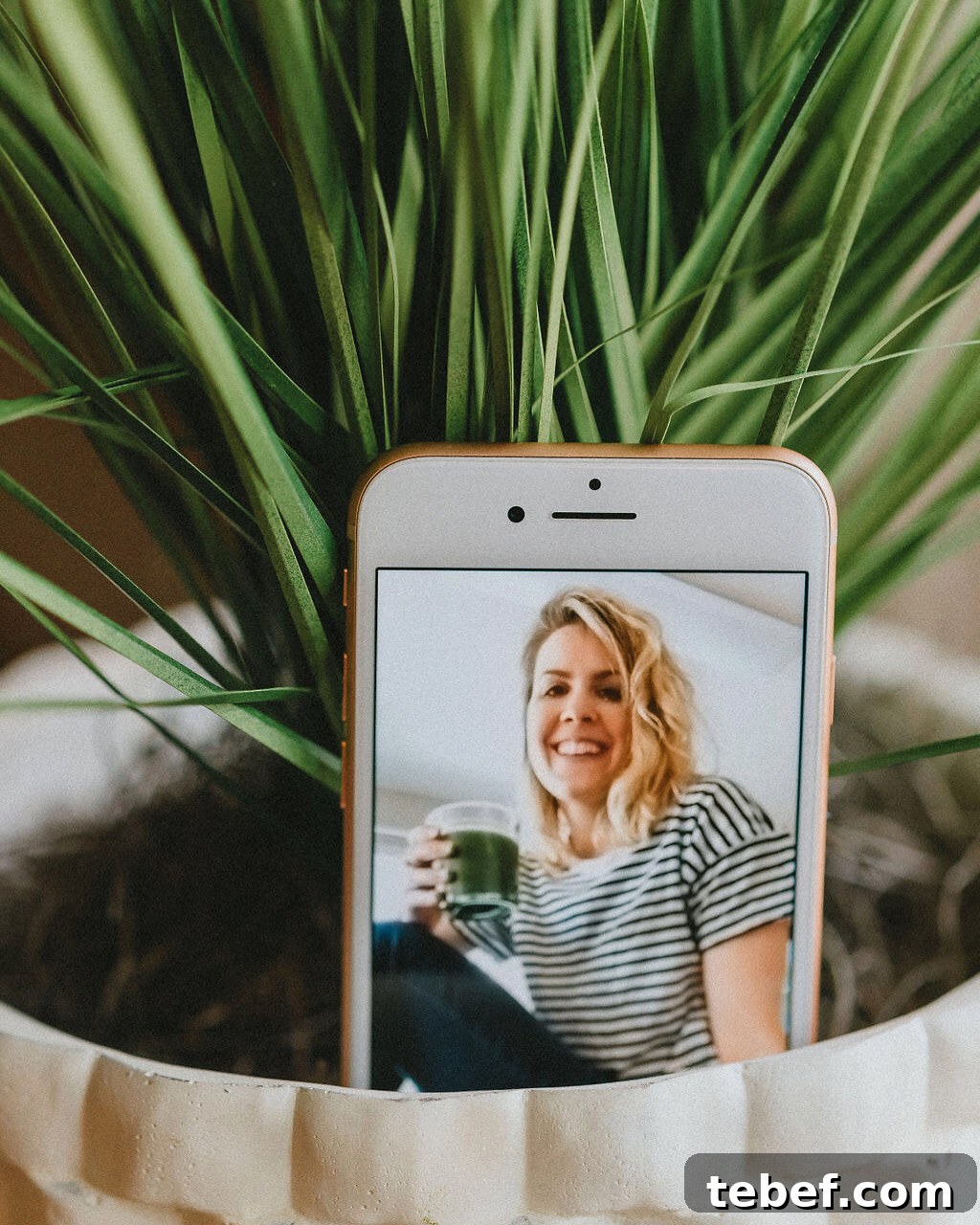 Plant-Based Nutrition Certification: Become a Certified Plant Nutrition Expert 2 My Plant Based Nutrition Certification