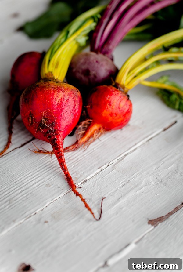 Roasted Beet Salad with Whipped Ricotta, Fennel & Orange 3 Mixed Beets