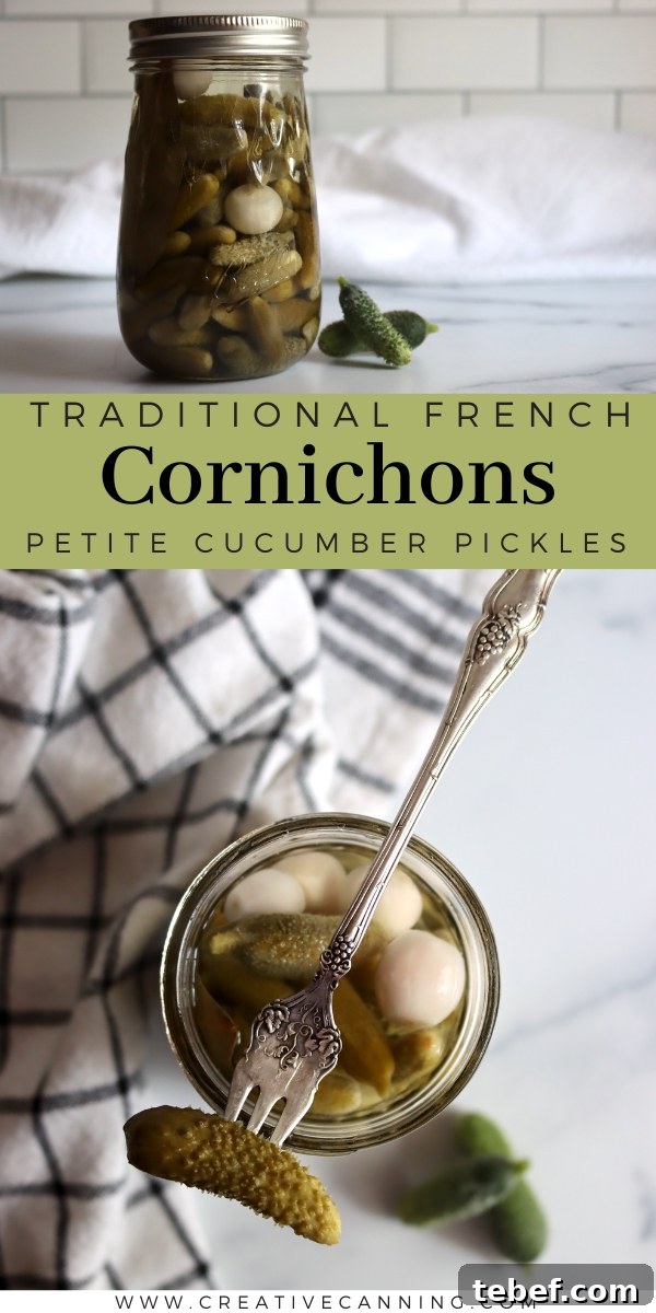 Authentic French Cornichons Recipe: Classic Pickled Gherkins Guide 10 Cornichons Recipe