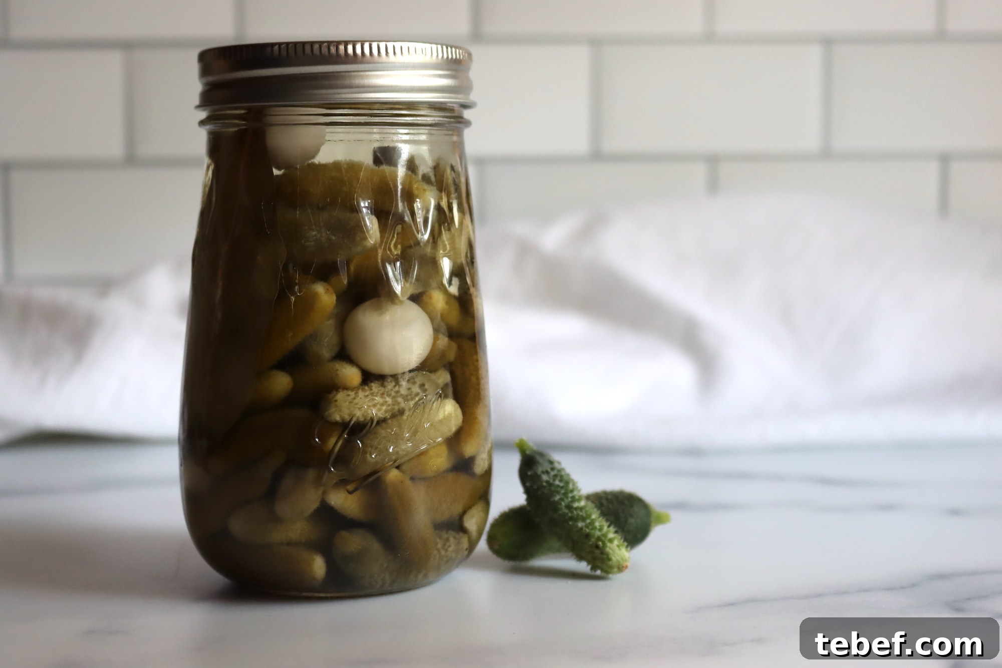 Authentic French Cornichons Recipe: Classic Pickled Gherkins Guide 3 French Cornichons