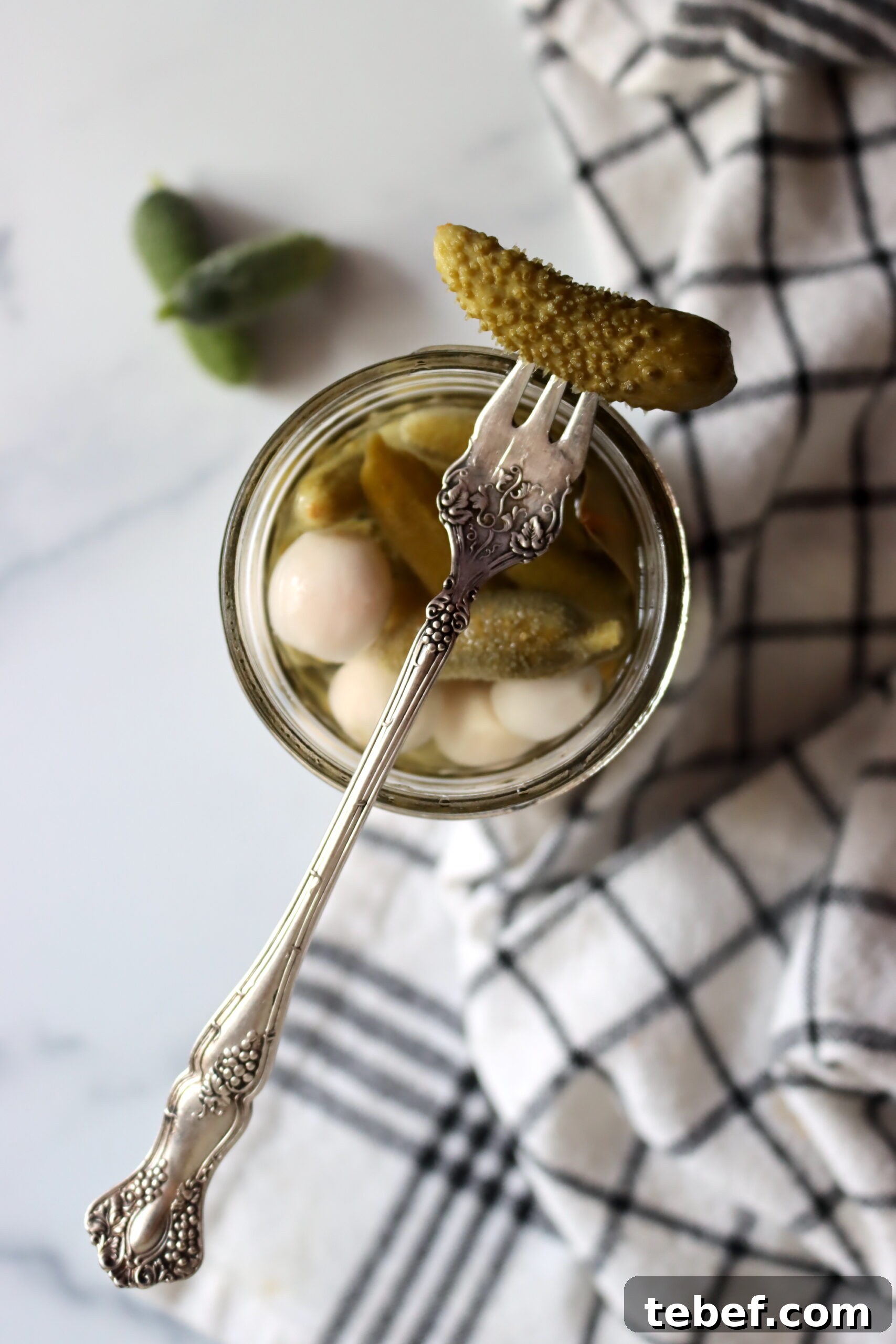 Authentic French Cornichons Recipe: Classic Pickled Gherkins Guide 5 French Cornichons