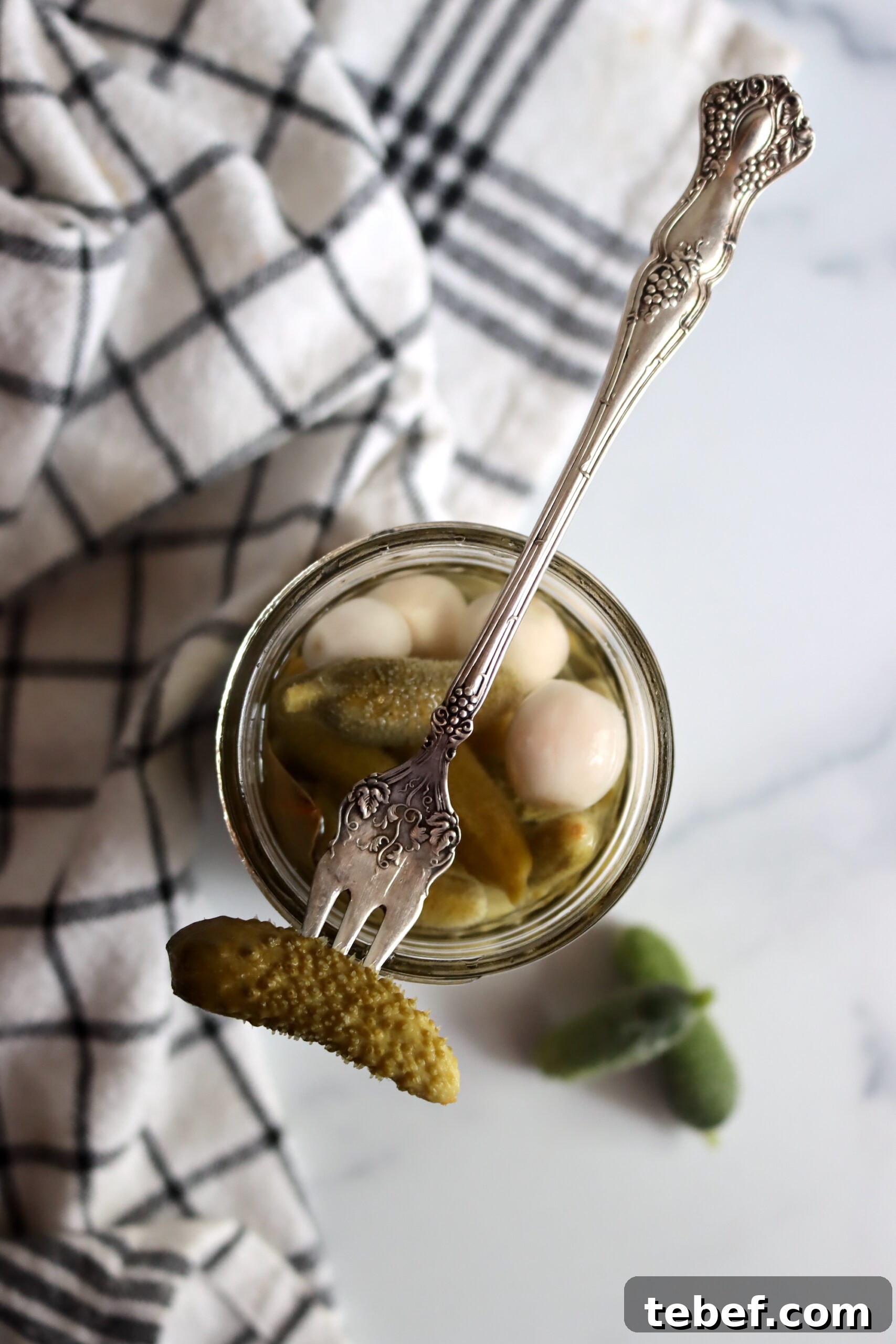 Authentic French Cornichons Recipe: Classic Pickled Gherkins Guide 8 French Cornichons