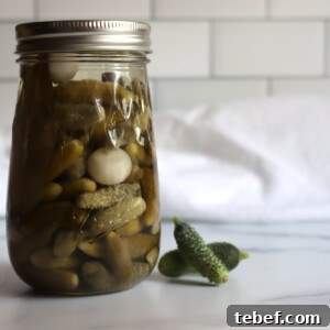 French Cornichons