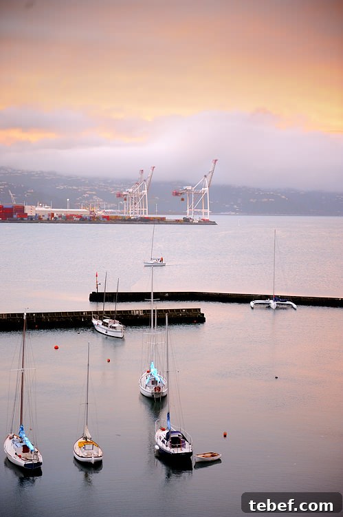 Wellington on a Plate: New Zealand’s Premier Food Festival 12 Wellington Harbour New Zealand
