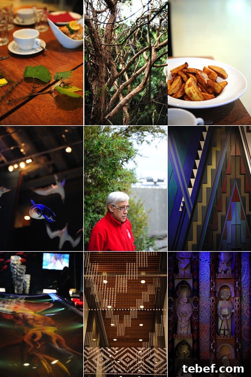 Wellington on a Plate: New Zealand’s Premier Food Festival 9 Te Papa Museum Wellington