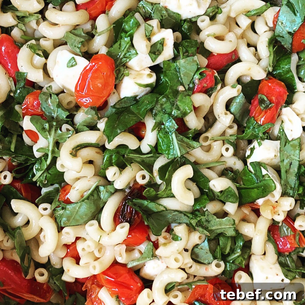 Looking for easy school lunch ideas? This list has it all! Easy main dishes, salad sides, high protein snacks, veggie dips, and dessert.