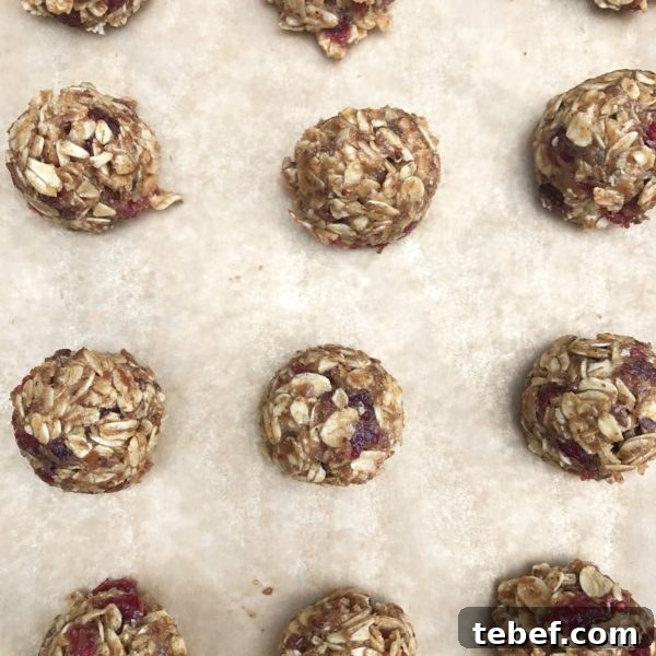 Looking for easy school lunch ideas? This list has it all! Easy main dishes, salad sides, high protein snacks, veggie dips, and dessert.