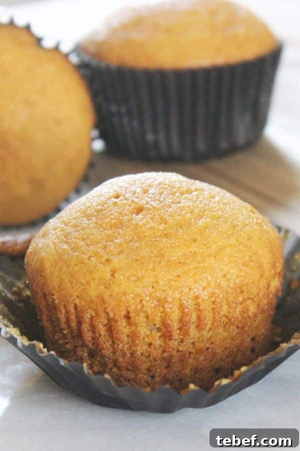 Pumpkin muffins are moist, light and downright fluffy. An easy pumpkin spice muffin that will be a treat for breakfast or a snack. easy pumpkin muffins