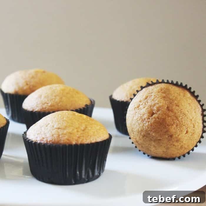libbys pumpkin muffins