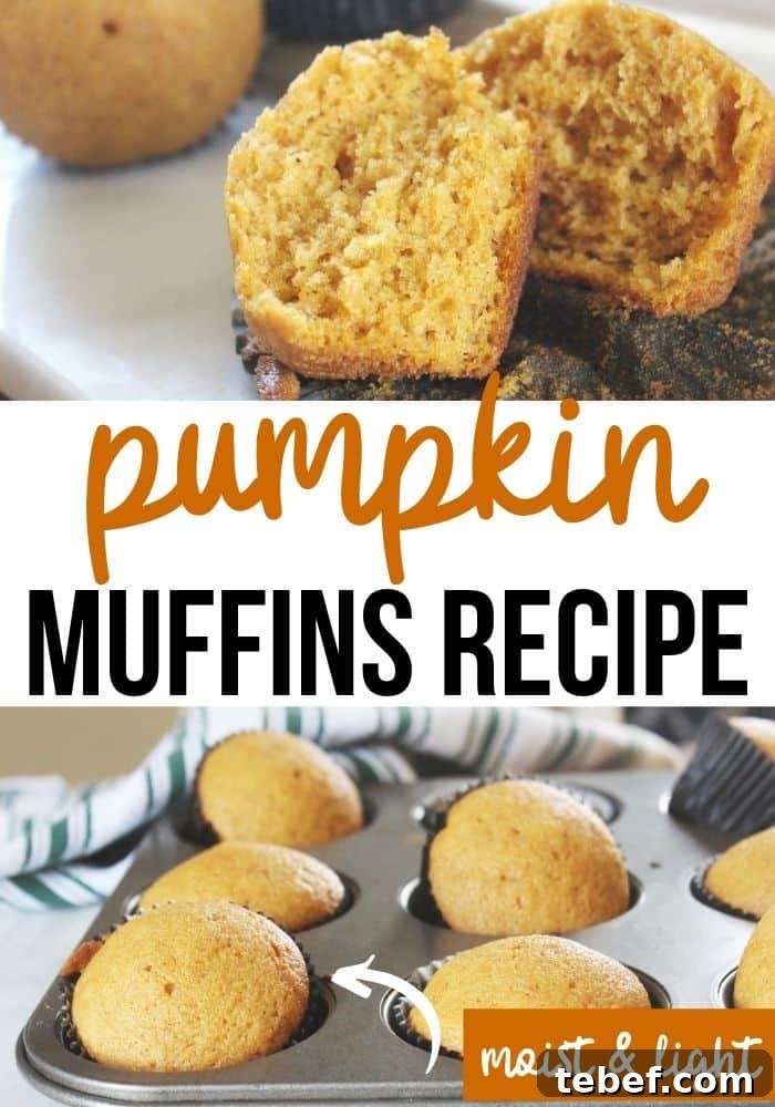 pumpkin muffins