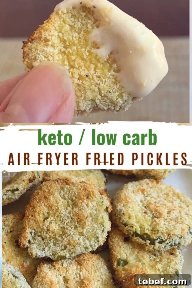 Keto Air Fryer Fried Pickles — Low-Carb Recipe 8 fried pickles2 copy