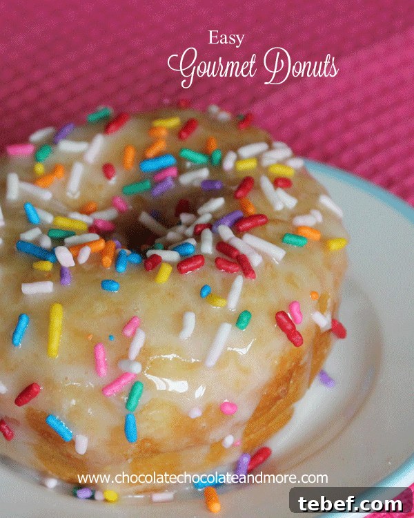 Gourmet Donuts Made at Home: Simple Recipes for Perfect Results 11 Sprinkle Gourmet Donuts-fruits, cookies, candies, the possibilities are limitless
