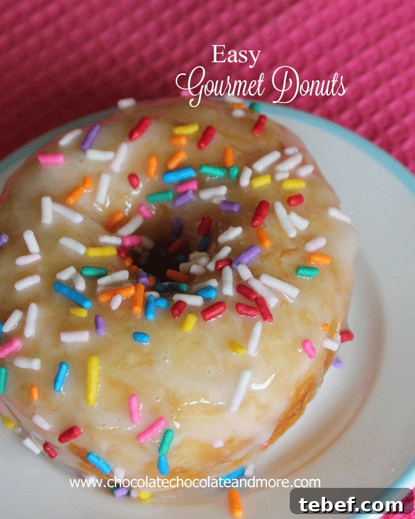 Gourmet Donuts Made at Home: Simple Recipes for Perfect Results 12 Sprinkle Gourmet Donuts- fruits, cookies, candies, the possibilities are limitless