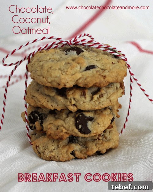 Gourmet Donuts Made at Home: Simple Recipes for Perfect Results 19 Chocolate Coconut Oatmeal Breakfast Cookies