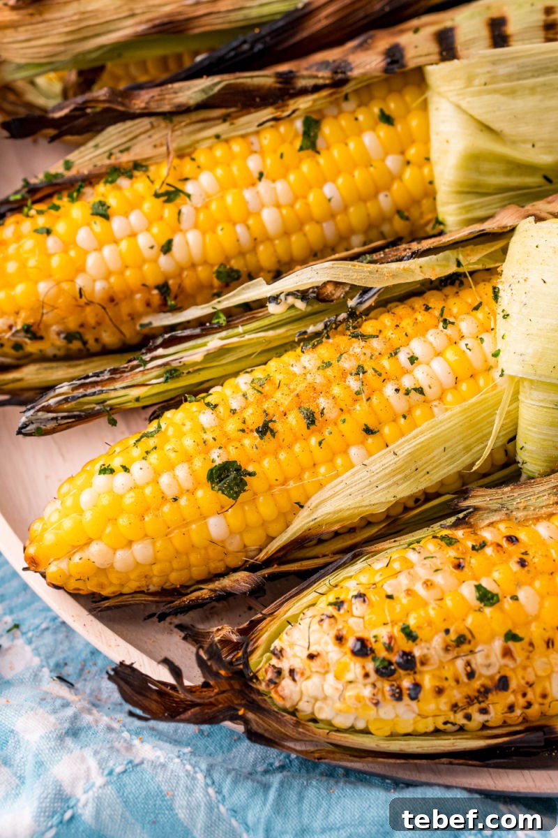 Perfect Grilled Corn on the Cob: Simple Charred Flavor Recipe 2 close up of grilled corn on the cob with butter, salt, pepper, and chopped parsley