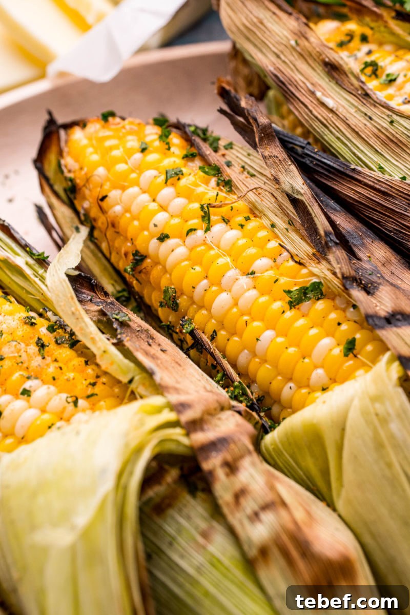 Perfect Grilled Corn on the Cob: Simple Charred Flavor Recipe 3 close up of grilled ears of corn on the cob with seasoning