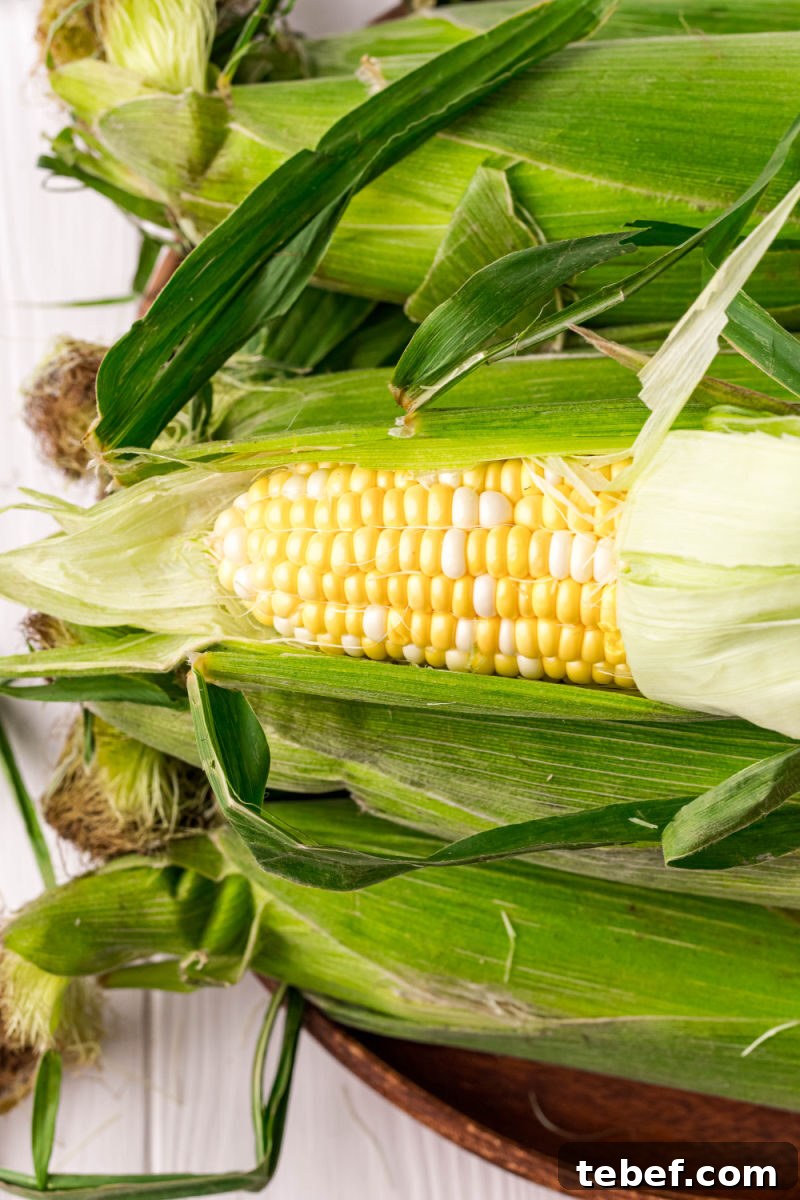 Perfect Grilled Corn on the Cob: Simple Charred Flavor Recipe 5 ears of corn with the husk pulled back to remove the silks