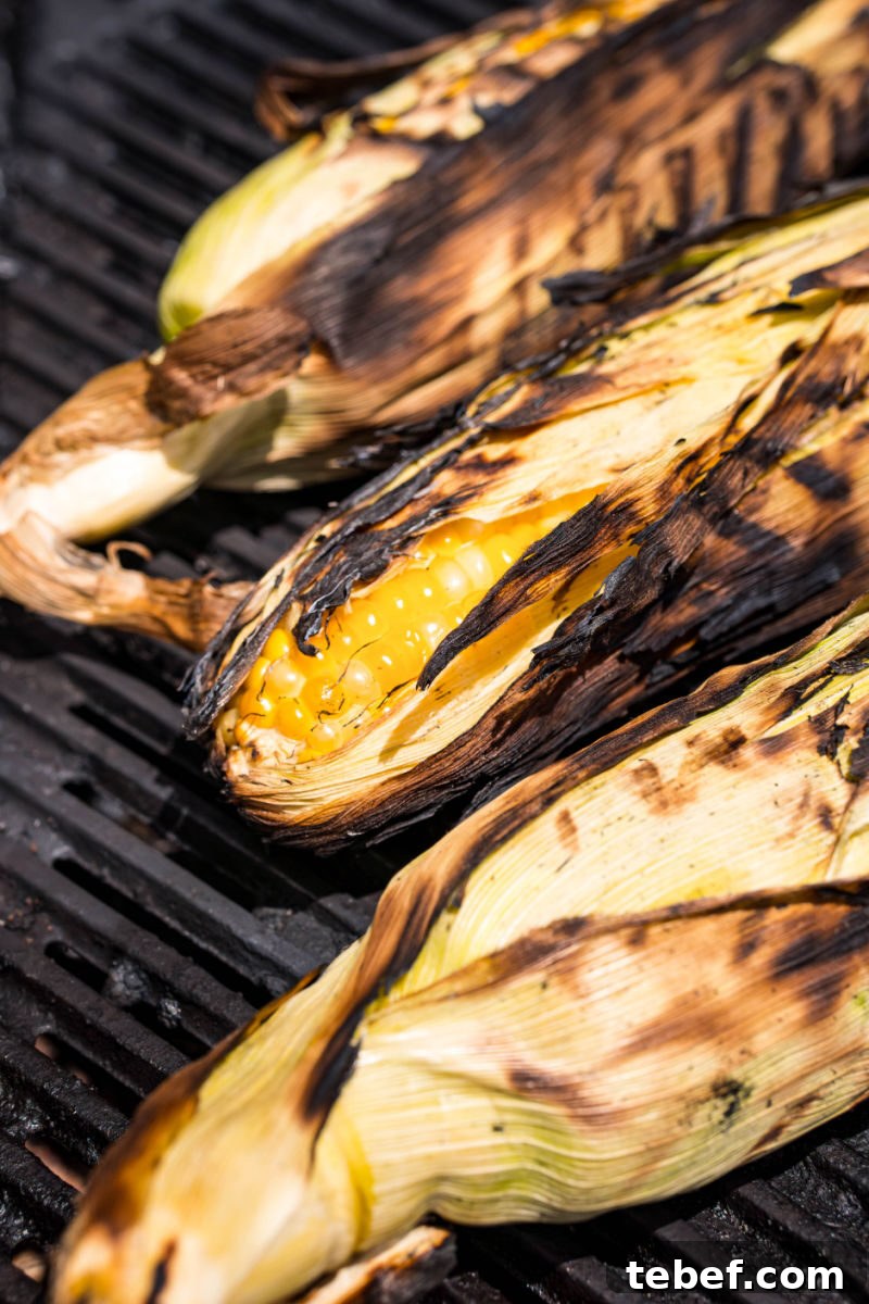 Perfect Grilled Corn on the Cob: Simple Charred Flavor Recipe 6 ears of corn in the husk on the grill