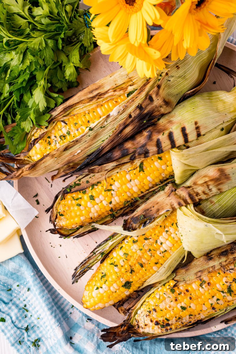 Perfect Grilled Corn on the Cob: Simple Charred Flavor Recipe 7 grilled corn on a platter with the husk pulled back