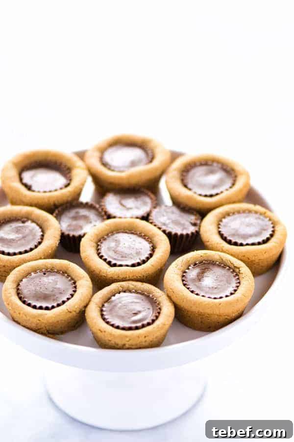 Gluten Free Reese's Peanut Butter Cookie Cups are a chocolate + peanut butter lovers’ dream cookie! They’re peanut butter cookies baked in mini muffin tins then stuffed with peanut butter cups. Simply amazing! SUPER EASY cookie recipe to make too! Recipe from @whattheforkblog | whattheforkfoodblog.com | gluten free cookie recipes | easy dessert recipes | homemade peanut butter cookies | how to make peanut butter cookies | #glutenfree #chocolate #peanutbutter #cookies #dessert #easyrecipes
