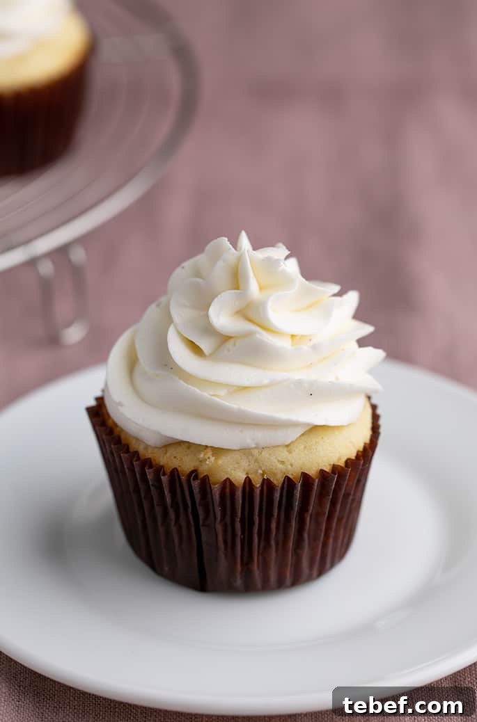 Gluten-Free Vanilla Cupcakes Recipe for Moist, Fluffy Results 2 Gluten free vanilla cupcake in brown liner with white swirl of frosting on small white plate on purple cloth