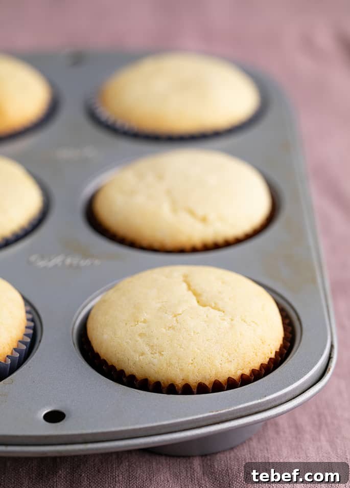 Gluten-Free Vanilla Cupcakes Recipe for Moist, Fluffy Results 15 Baked gluten free vanilla cupcakes in 6 well cupcake tin in brown liners on purple cloth