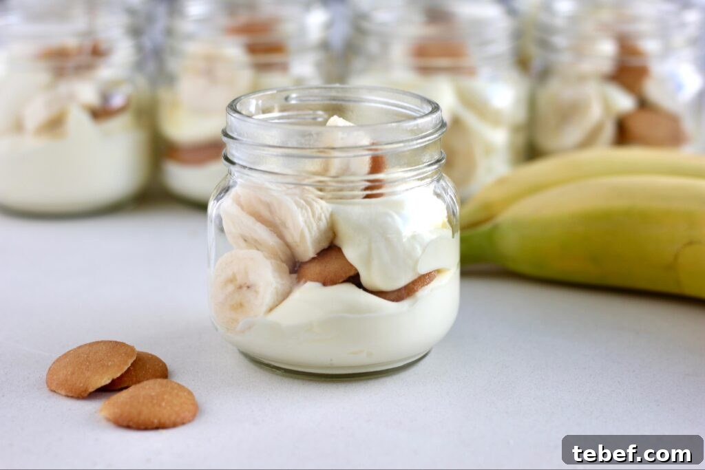 Creamy Banana Pudding Cups Recipe — No-Bake Dessert Cups 2 banana pudding cups