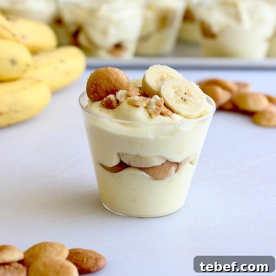 Creamy Banana Pudding Cups Recipe — No-Bake Dessert Cups 3 vanilla wafers and bananas