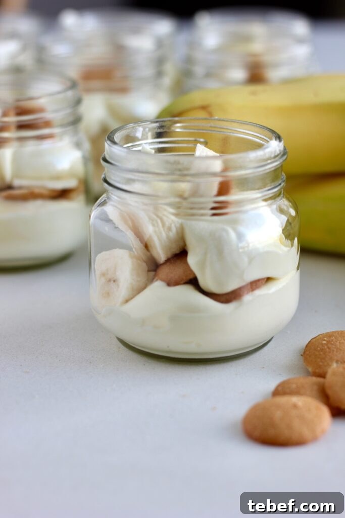 Creamy Banana Pudding Cups Recipe — No-Bake Dessert Cups 6 banana pudding cups ready to serve